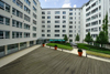 greenpoint 7